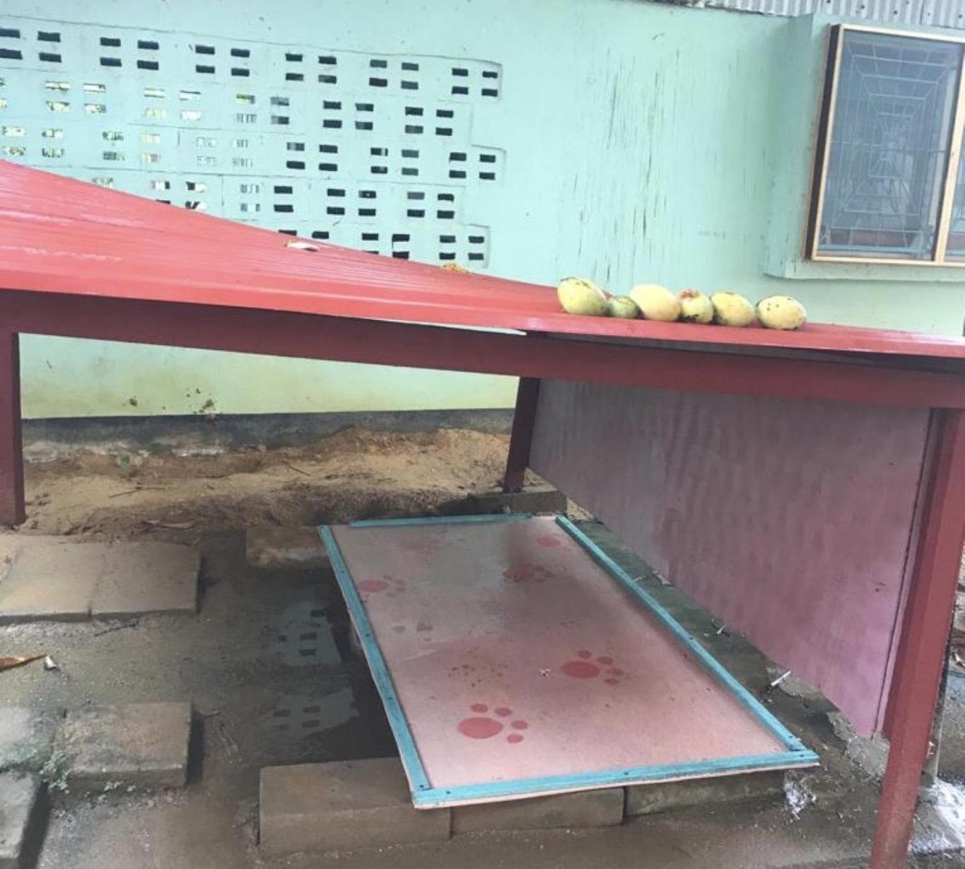 Unu Pikin Guesthouse Παραμαρίμπο Δωμάτιο φωτογραφία